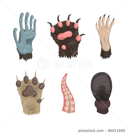 Different Animal Paw and Animalistic Claw Vector Set 96051889