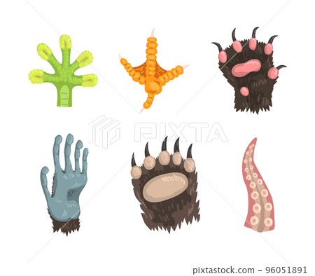 Different Animal Paw and Animalistic Claw Vector Set 96051891