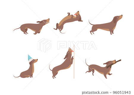 Funny Dachshund Brown Dog Character in Various Pose Vector Set Funny Dachshund Brown Dog Character in Various Pose Vector Set 96051943