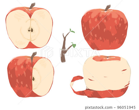 Red apple various cuts 96051945