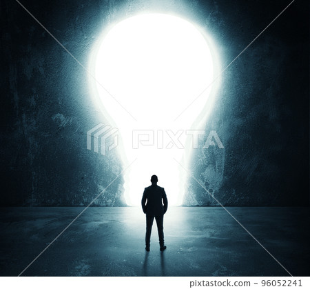 Lightbulb door 96052241