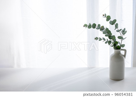 Eucalyptus plant background material 96054381