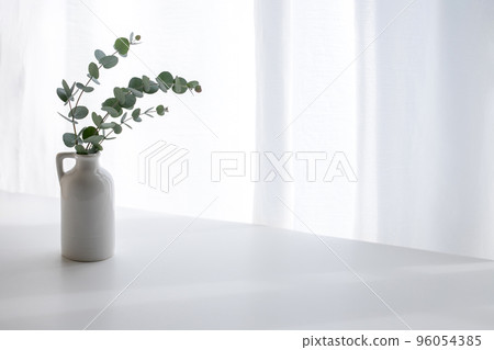 桉樹植物背景素材 96054385