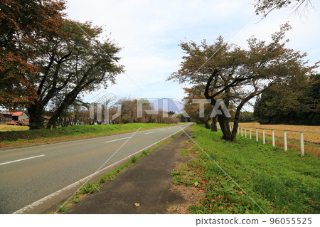 Koiwai Farm (Autumn) [Shizukuishi Town, Iwate Prefecture] 96055525