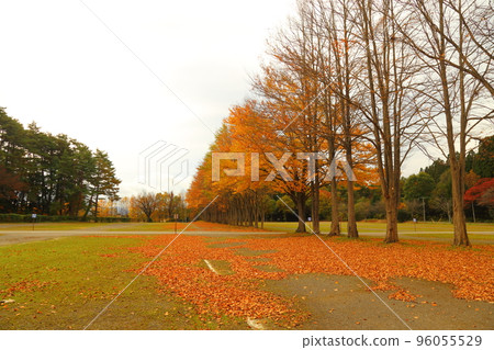 Koiwai Farm (Autumn) [Shizukuishi Town, Iwate Prefecture] 96055529
