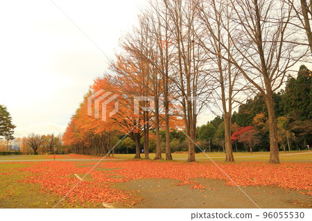 小岩井農場（秋季）[岩手縣雫石町] 96055530