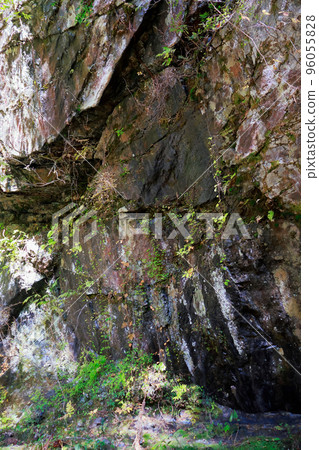 愛媛縣內子町小田山溪谷 96055828