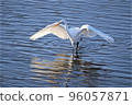 Fly towards the future 96057871