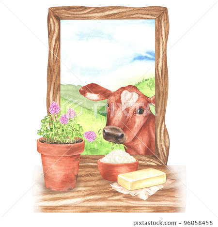The cow looks into the window, on the windowsill are a bowl of sour cream, butter and a pot of clover. Watercolor illustration. Isolated on a white background. For design dairy product packaging 96058458