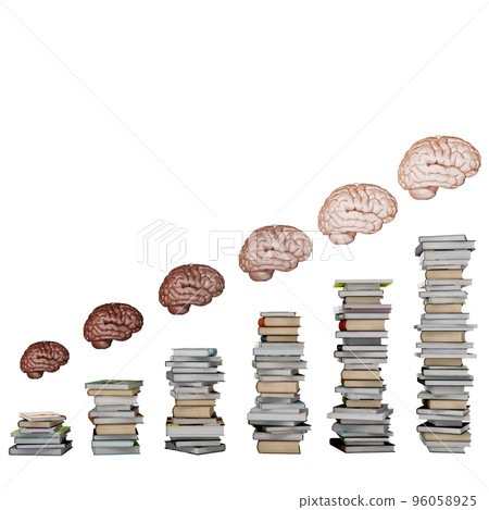 Development of brain Development of brain 96058925