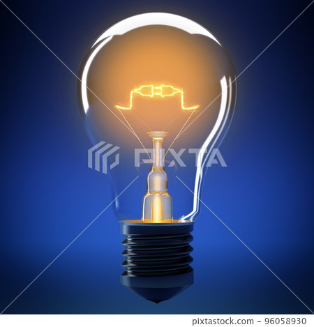 Bulb light connection Bulb light connection 96058930