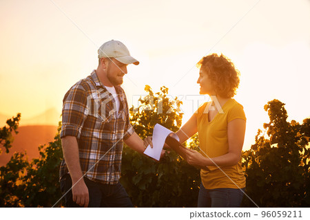 Making sure every bunch is accounted for. Shot of two young winemakers making notes on a clipboard while standing in a vineyard. 96059211
