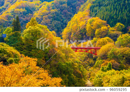 松川溪谷的秋天 松川溪谷的秋天 96059295