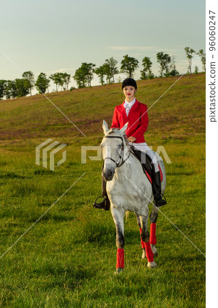 Young woman rider, wearing red redingote and white breeches, with her horse in evening sunset light. 96060247