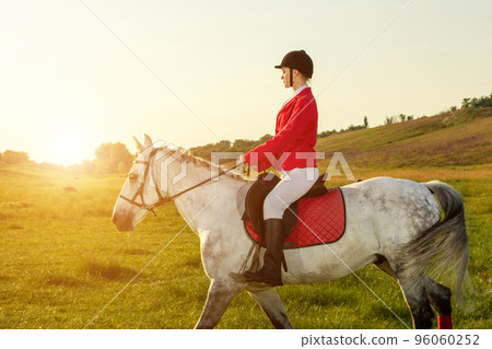 Young woman rider, wearing red redingote and white breeches, with her horse in evening sunset light. Young woman rider, wearing red redingote and white breeches, with her horse in evening sunset light. 96060252