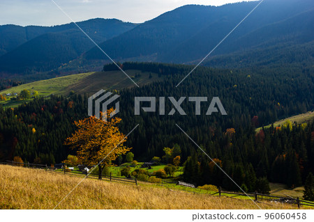 Beautiful autumn scenery. Fabulous autumn view of the mountain valley. Gorgeous morning scene of mountain village, Carpathians, Ukraine, Europe. Beautiful autumn scenery 96060458