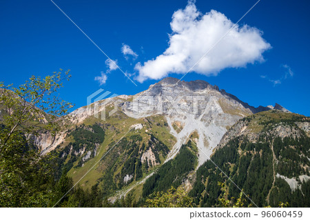 Mountains and forest landscape in French alps 96060459