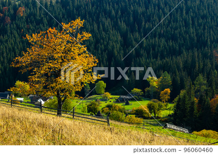 Colorful landscape with autumn trees and rural houses on the slopes and in the valley in the mountain village. Carpathian mountains, Ukraine 96060460