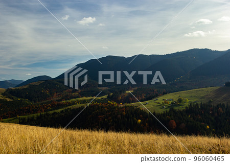Nice landscape with rural meadow in Carpathian mountains, Ukraine 96060465