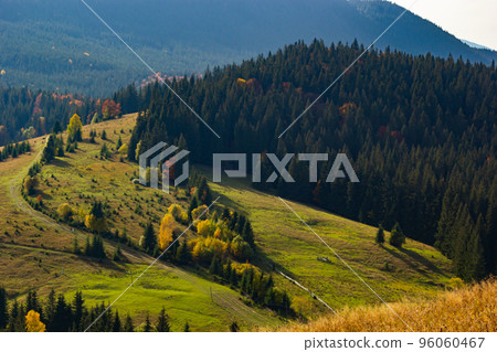 Nice landscape with rural meadow in Carpathian mountains, Ukraine Nice landscape with rural meadow in Carpathian mountains, Ukraine 96060467