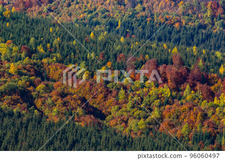 beautiful autumn countryside landscape in Carpathian Mountains, Ukraine 96060497