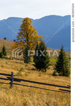 beautiful autumn countryside landscape in Carpathian Mountains, Ukraine 96060504
