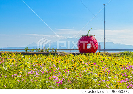 Fruit Bus Stop Strawberry Bus Stop [Konagai Town, Isahaya City, Nagasaki Prefecture] 96060872