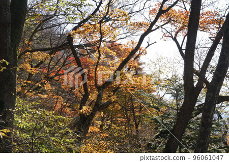 Mt.Tsukuba with autumn leaves Scenery of Nature Research Trail Mt.Tsukuba with autumn leaves Scenery of Nature Research Trail 96061047