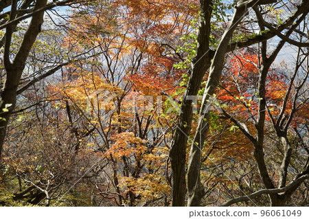 Mt.Tsukuba with autumn leaves Scenery of Nature Research Trail Mt.Tsukuba with autumn leaves Scenery of Nature Research Trail 96061049