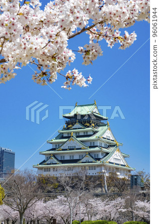 Osaka Castle Sakura Spring 96061944