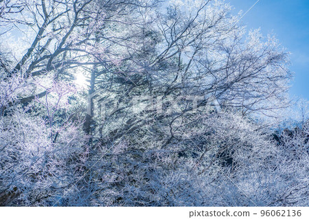 [Rare material] Winter Kamikochi hoarfrost [Nagano Prefecture] 96062136