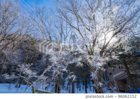 [Rare material] Winter Kamikochi hoarfrost [Nagano Prefecture] 96062152