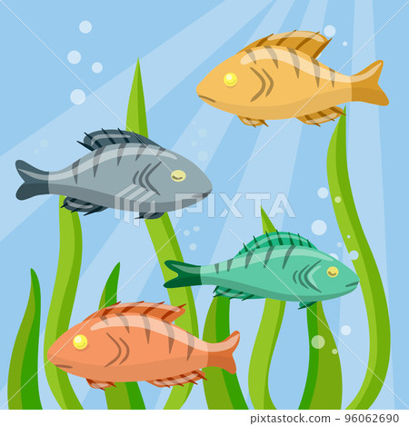 Set of fish. River animal with scales Set of fish. River animal with scales 96062690