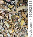 Many fallen leaves 96062838