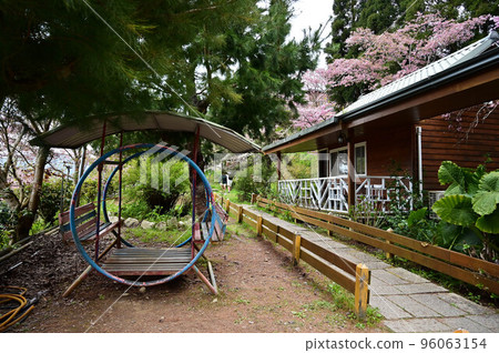 台灣 Lala Mountain On-Ai 農場的粉紅櫻花 96063154