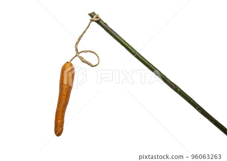 the carrot and the stick the carrot and the stick 96063263