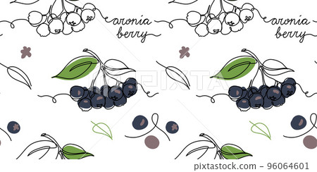 Aronia berry, chokeberry, black rowan vector seamless pattern or texture. One continuous line art drawing of aronia pattern Aronia berry, chokeberry, black rowan vector seamless pattern or texture. One continuous line art drawing of aronia pattern 96064601