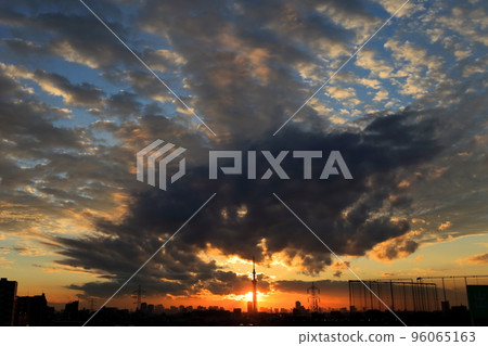 東京天空樹和日落 96065163