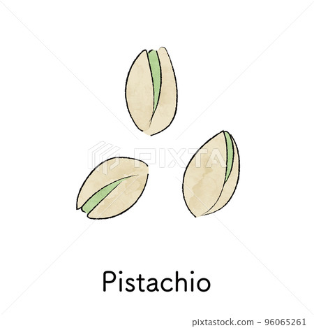 Illustration of pistachio Illustration of pistachio 96065261