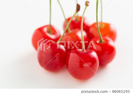 Cherry Sato Nishiki Cherry Sato Nishiki 96065293