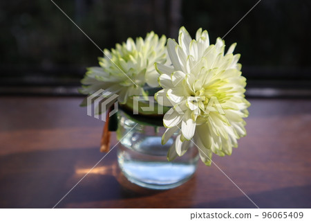 Decorate an empty bottle with chrysanthemum 96065409