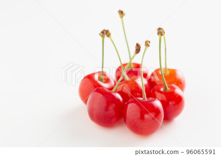 Cherry Sato Nishiki Cherry Sato Nishiki 96065591