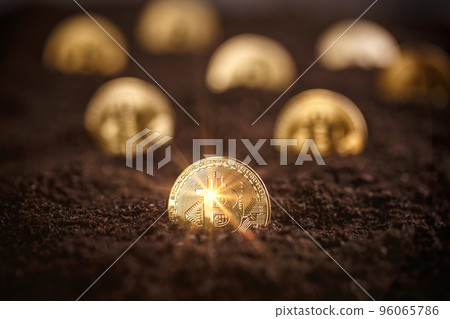 Mining Golden Bitcoins Mining Golden Bitcoins 96065786