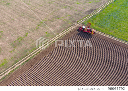 Seasonal harvesting of potatoes 96065792