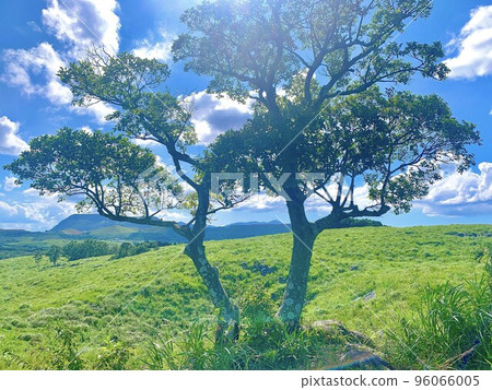 我開車去的福岡縣平尾台喀斯特地貌 96066005