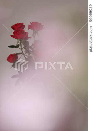 Miniature Miniature 96066089