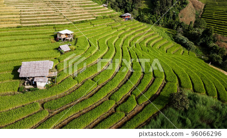 Aerial view of Rice terrace at Ban pa bong piang in Chiang mai Thailand Aerial view of Rice terrace at Ban pa bong piang in Chiang mai Thailand 96066296