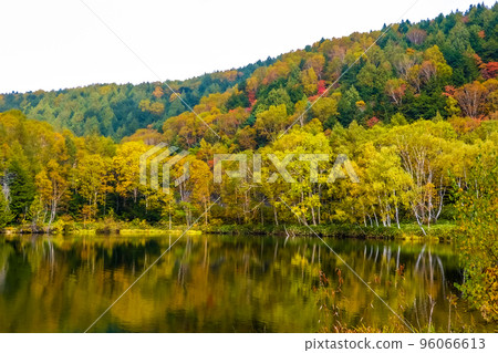 秋季志賀高原/木戶池湖畔紅葉(長野縣) 秋季志賀高原/木戶池湖畔紅葉(長野縣) 96066613