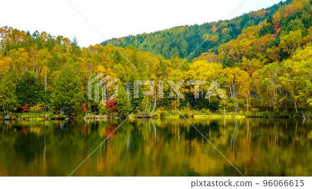 秋季志賀高原/木戶池湖畔紅葉(長野縣) 秋季志賀高原/木戶池湖畔紅葉(長野縣) 96066615