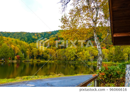 Autumn Shiga Kogen / Kido Pond Lakeside Autumn Leaves (Nagano Prefecture) Autumn Shiga Kogen / Kido Pond Lakeside Autumn Leaves (Nagano Prefecture) 96066616